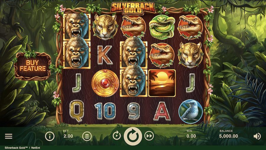 Slot Silverback Gold dostawcy NetEnt